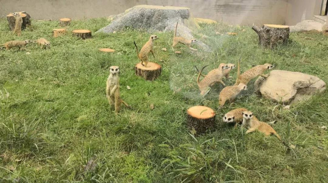 微信圖片_20180919081030.jpg